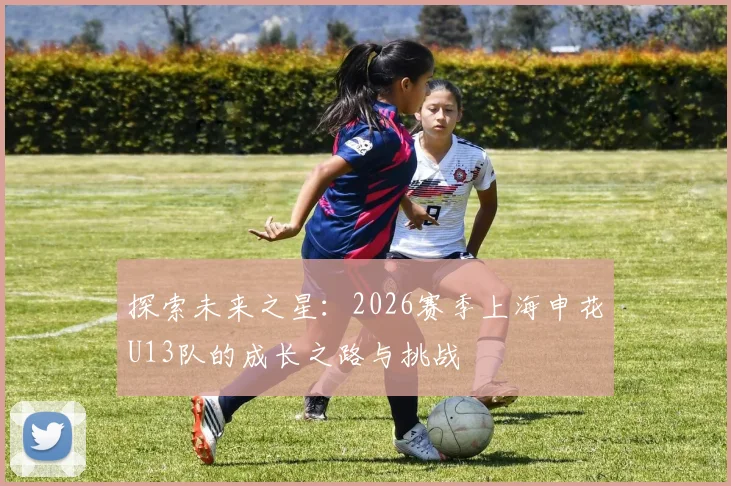 探索未来之星：2026赛季上海申花U13队的成长之路与挑战