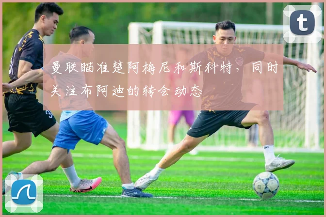 曼联瞄准楚阿梅尼和斯科特，同时关注布阿迪的转会动态