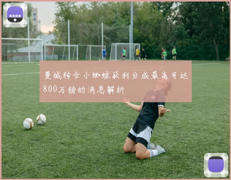 曼城转会小蜘蛛获利分成最高可达800万镑的消息解析